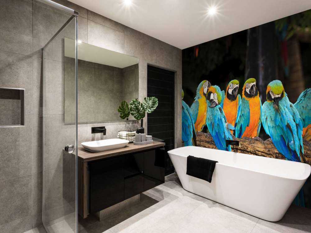 Papegaaien op een tak