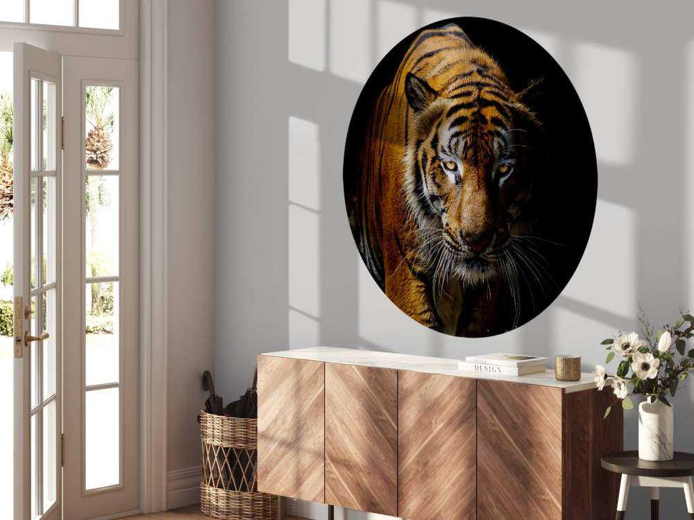 Tijger met een zwarte achtergrond