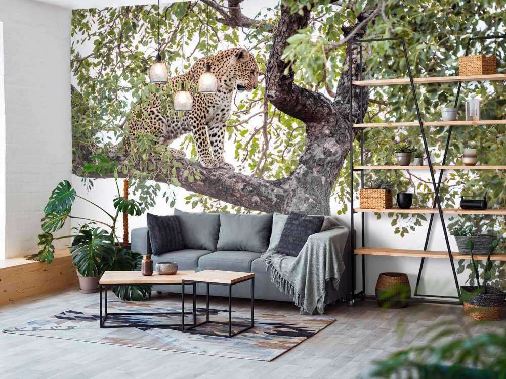 Luipaard in Kruger National Park