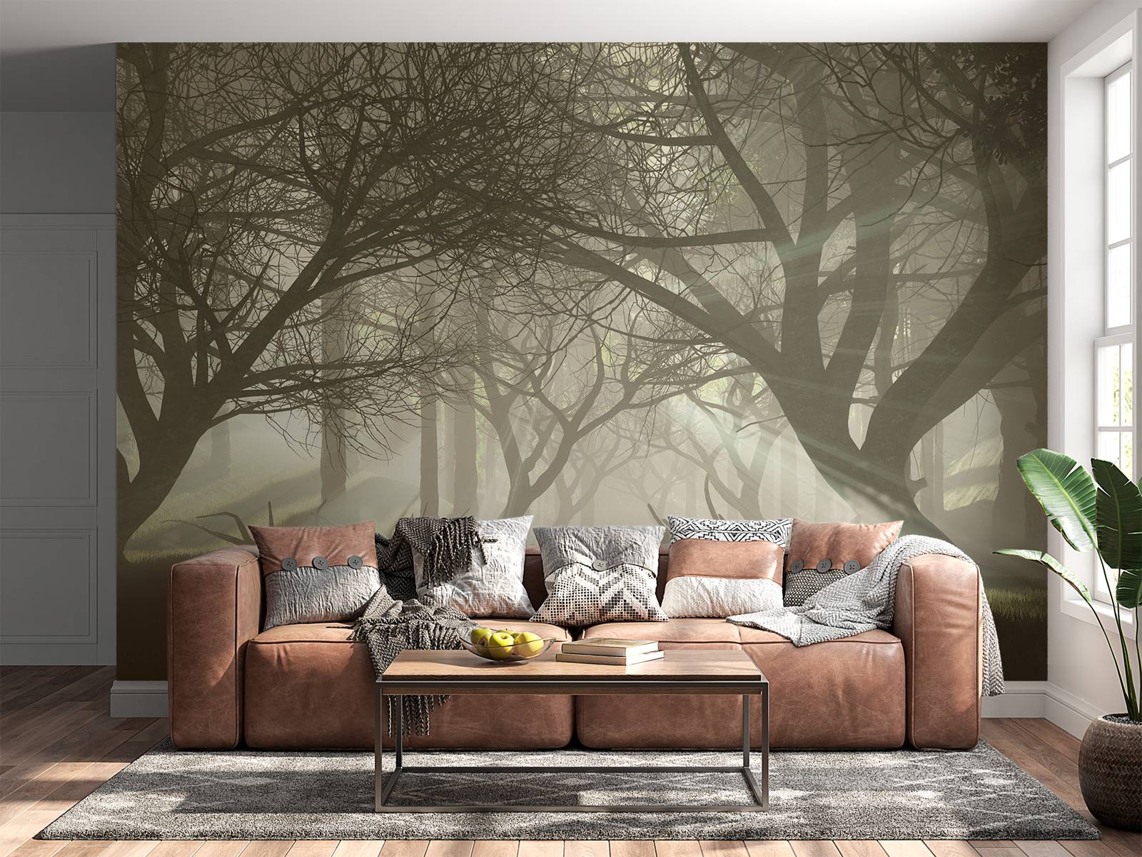 Mysterieus donker bos - Fotobehang, image size:1600x1200