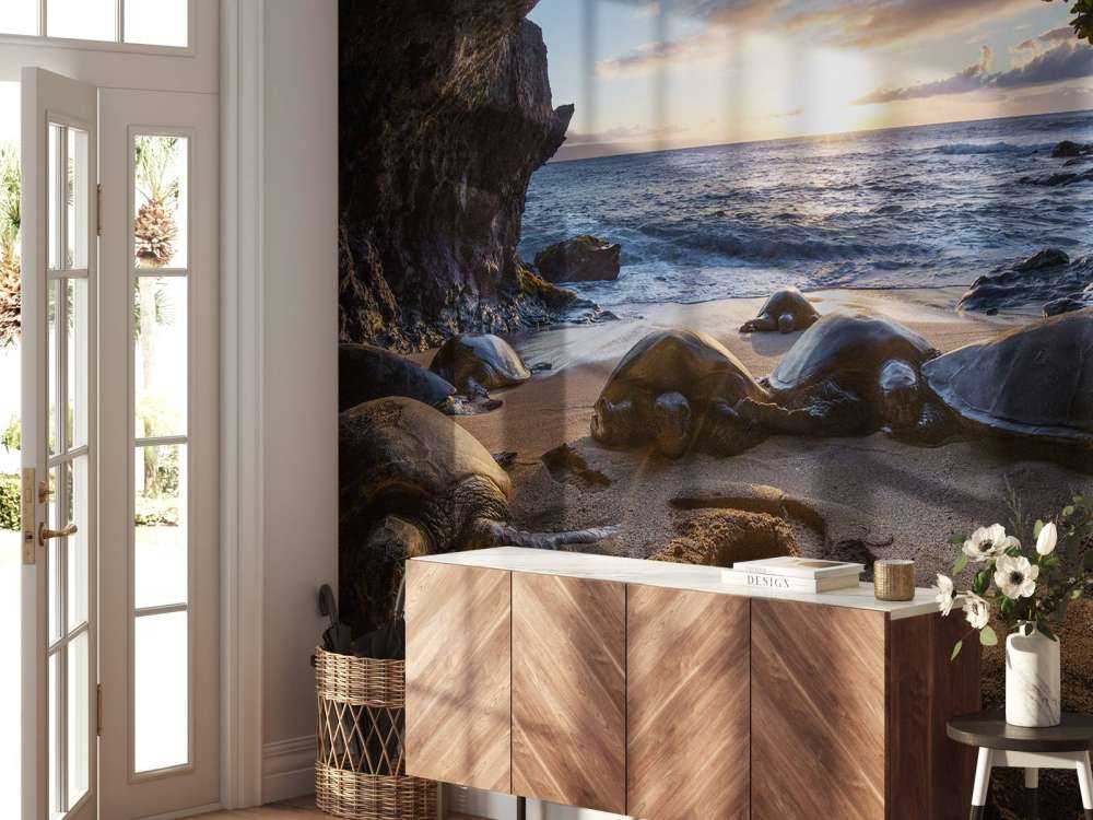 Schildpadden in een grot