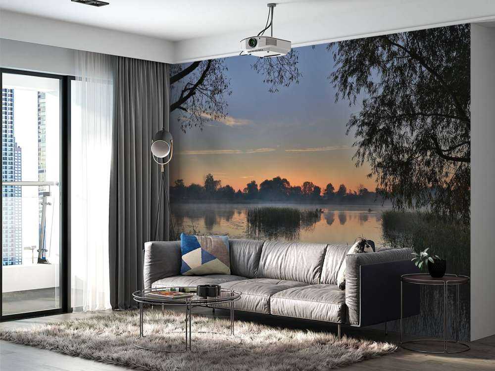 Natuurgebied in de vroege ochtend