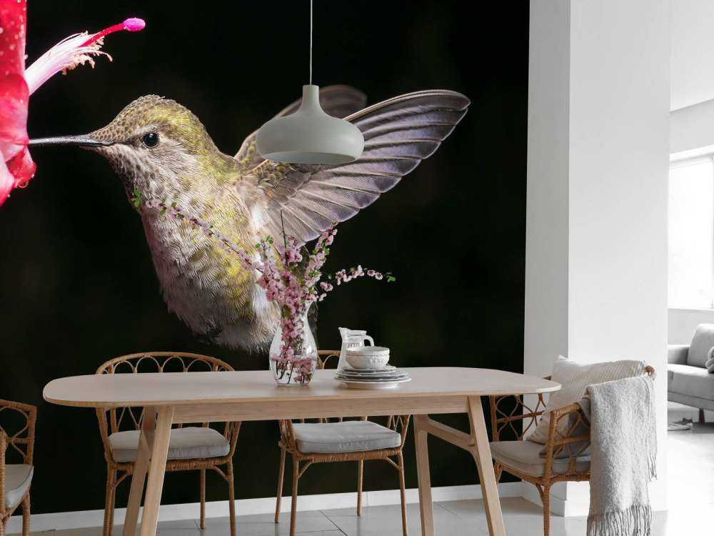 Kolibrie met rode bloem