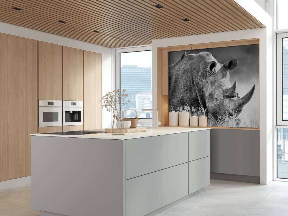 Neushoorn in zwart-wit