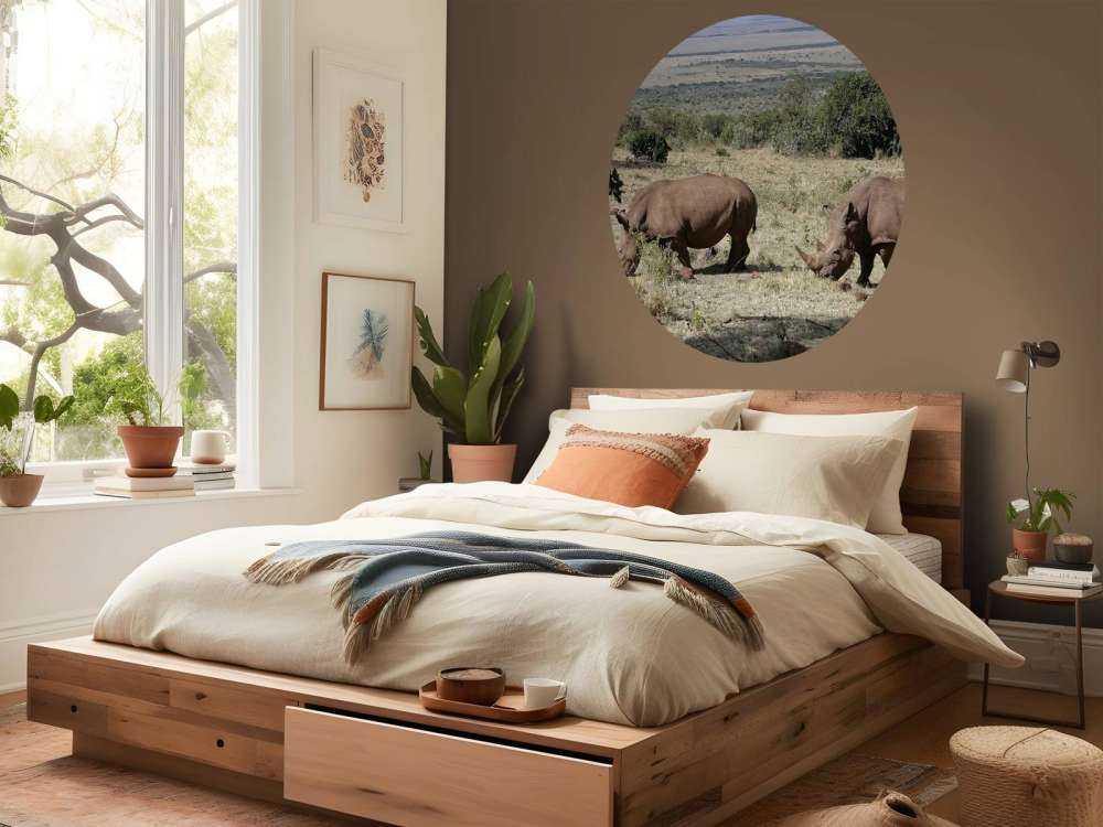 Grazende witte neushoorns