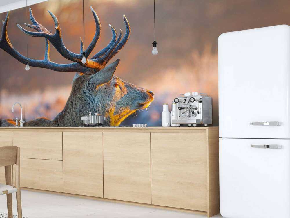 Hert met Wazige achtergrond