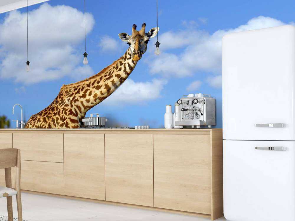 Giraffe met grappige houding