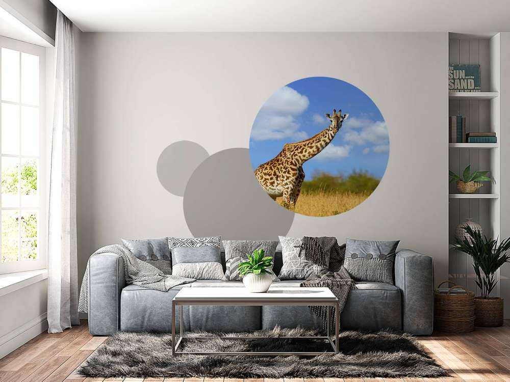 Giraffe met grappige houding