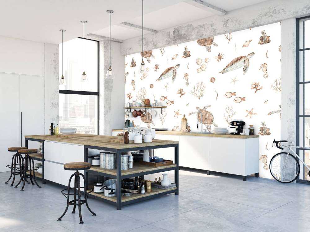 Schelpen en zeedieren