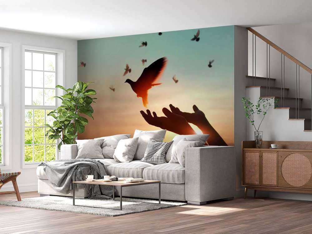 Duif bij zonsondergang