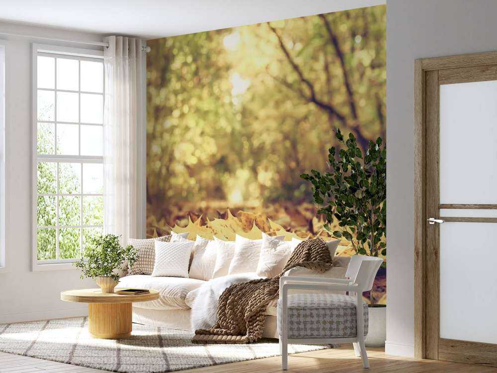 Bladeren in het Bos tijdens de Herfst