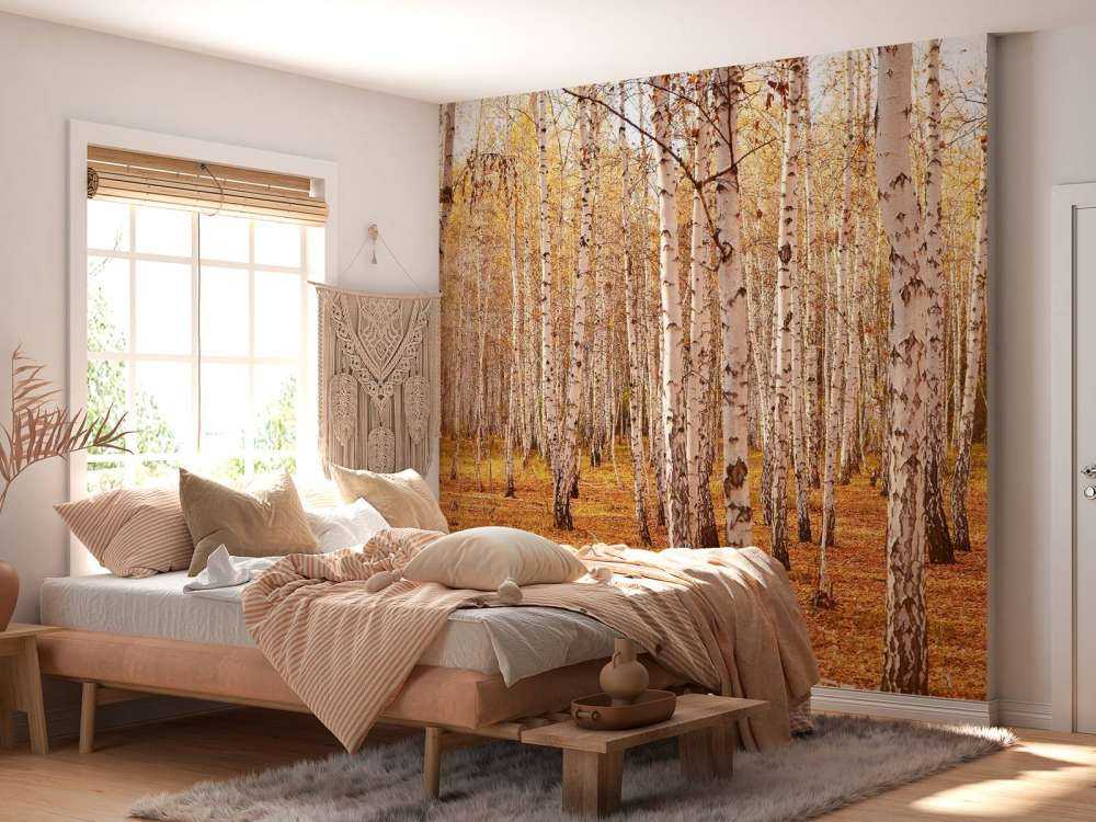 Berkenbomen in de Herfst