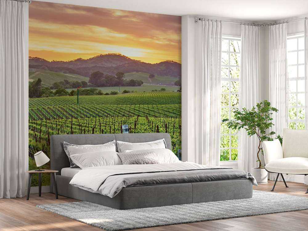 Wijngaard in Californië