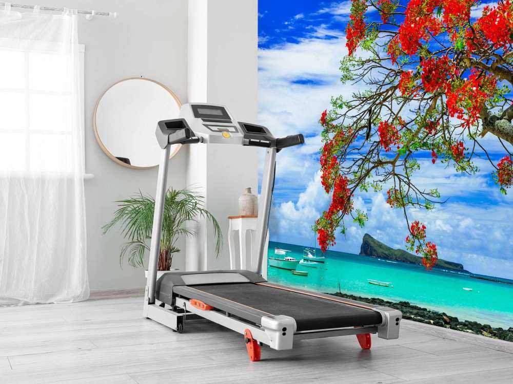 Rode flamboyant boom op het strand