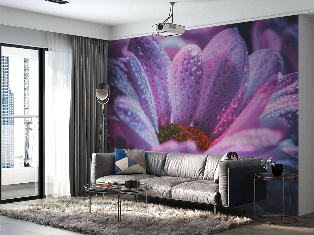 Chrysant bloem met dynamische kleuren