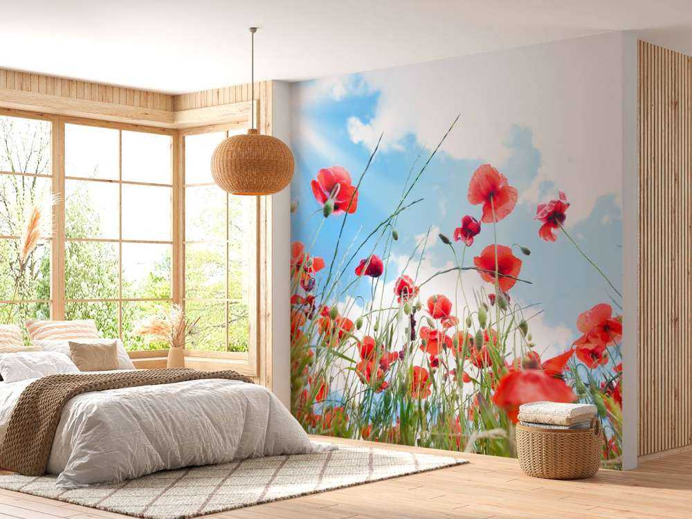 Klaprozen in het voorjaar