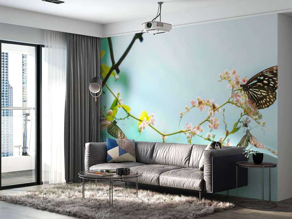 2 Mooie Vlinders op Bloesem