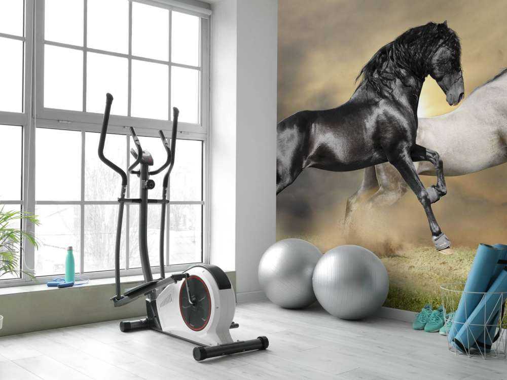 Zwart & Wit Paard op Gras