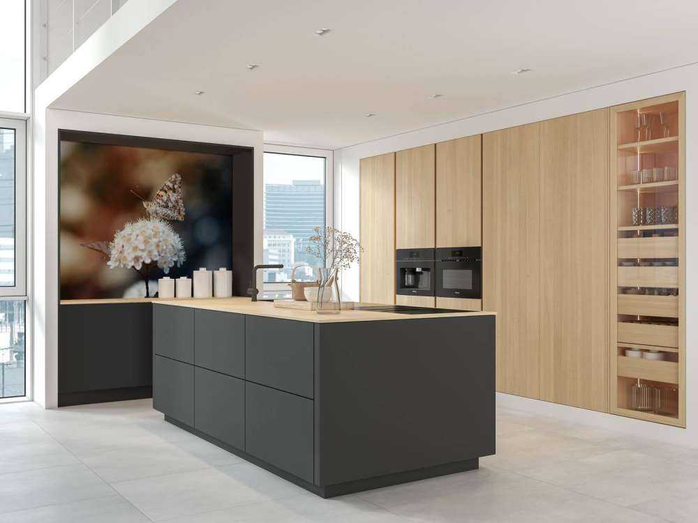 Vlinder op witte bloem