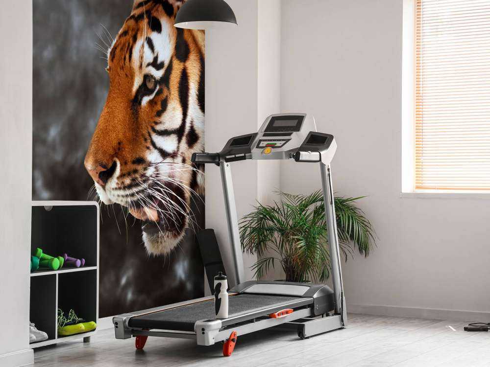 Wilde Tijger op zoek naar prooi