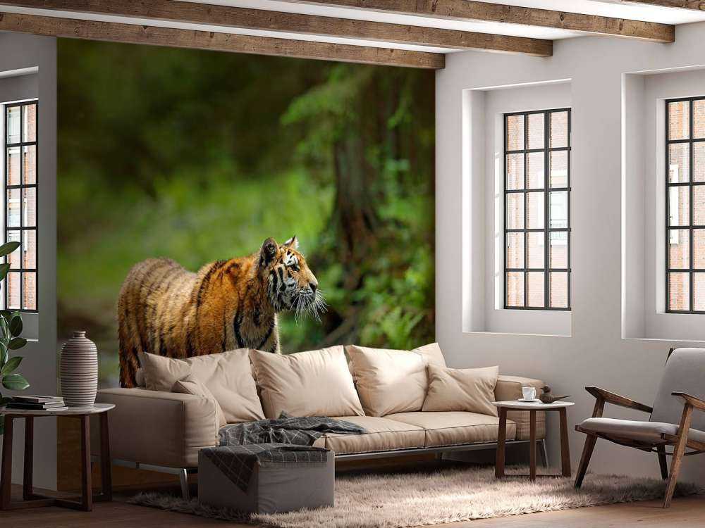 Tijger in Russische natuur