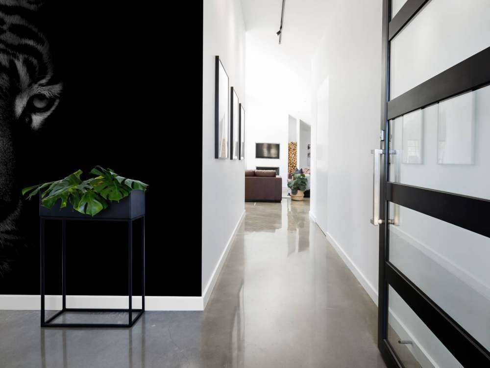 Tijger op zwarte achtergrond