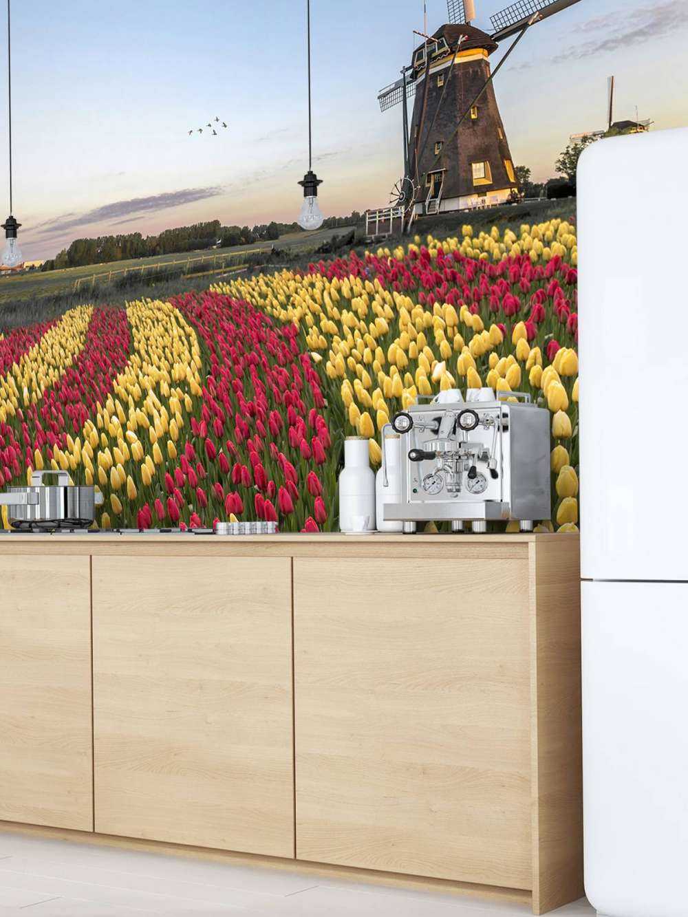 Nederlandse tulpenveld