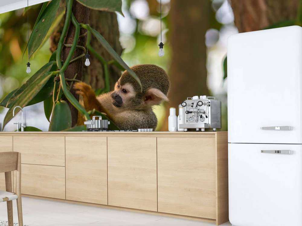 Kleine aap in de bomen