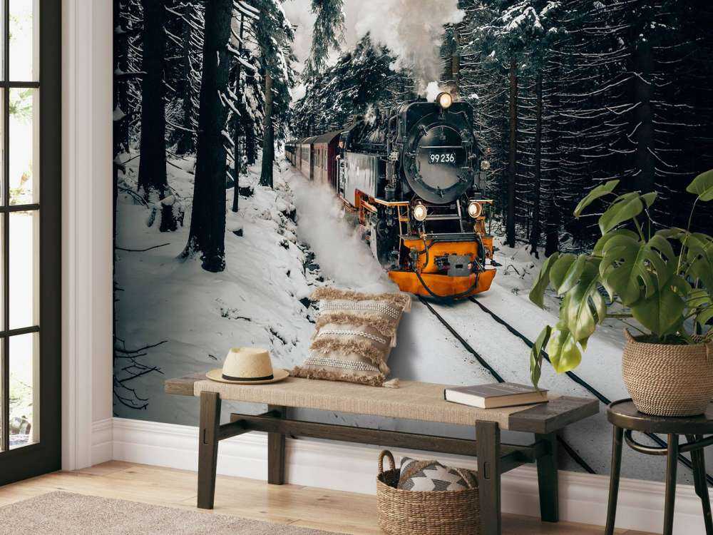 De Zweinstein express