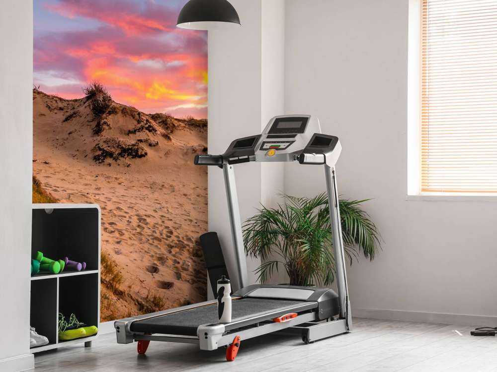 Zonsondergang vanuit de duinen