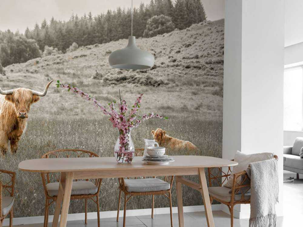 Schotse hooglander met kalf