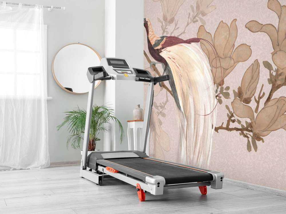 Bird of paradise chinoiserie