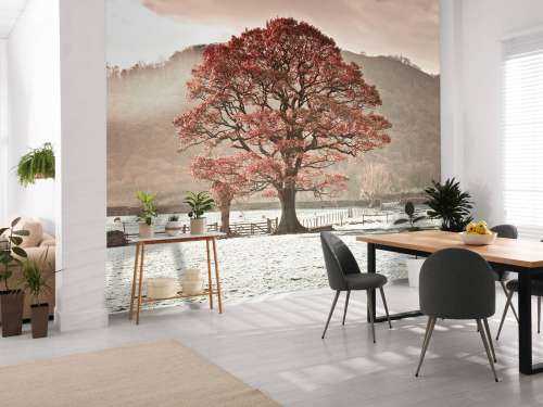 Eikenboom in de winter