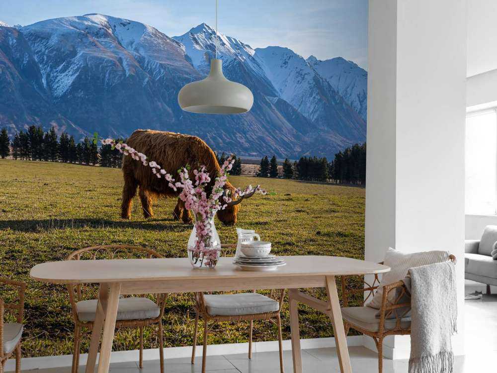 Hooglander met ingesneeuwde bergen