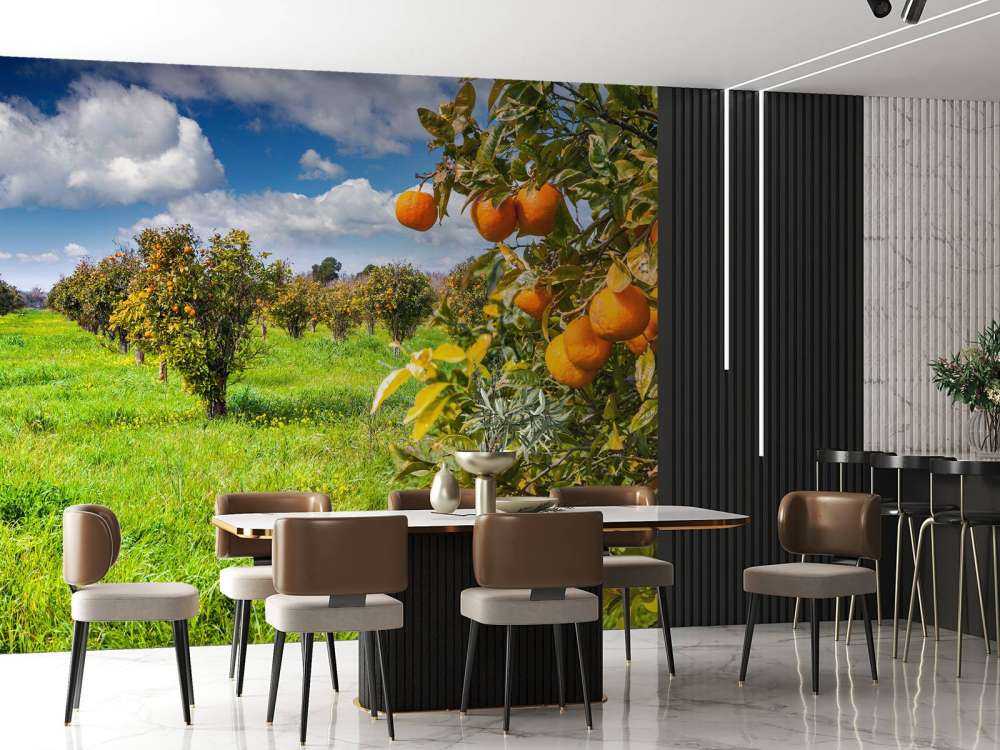 Sinaasappelbomen in Sicilië