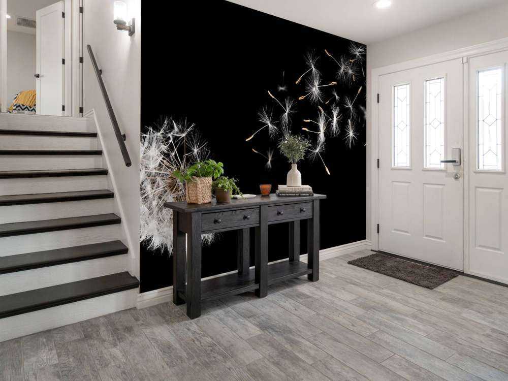 Paardebloem met een zwarte achtergrond