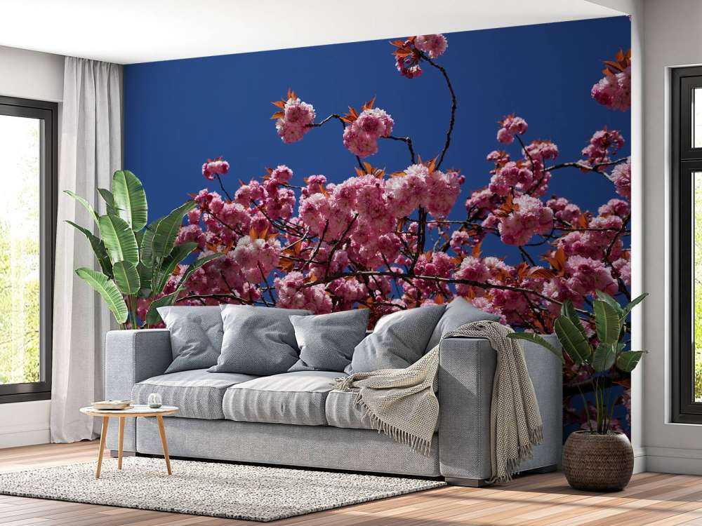 Roze bloesem met blauwe lucht