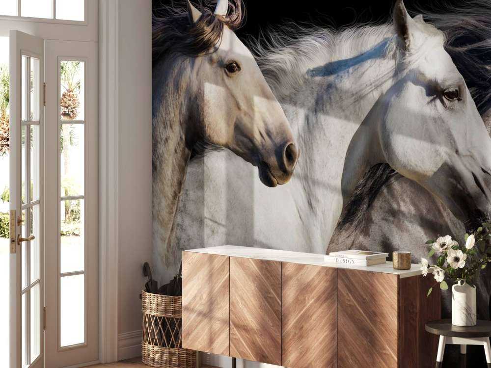 Drie paarden met een zwarte achtergrond