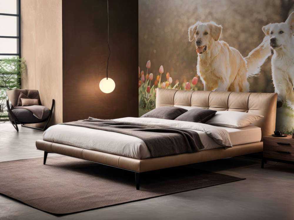 Honden in een parkje