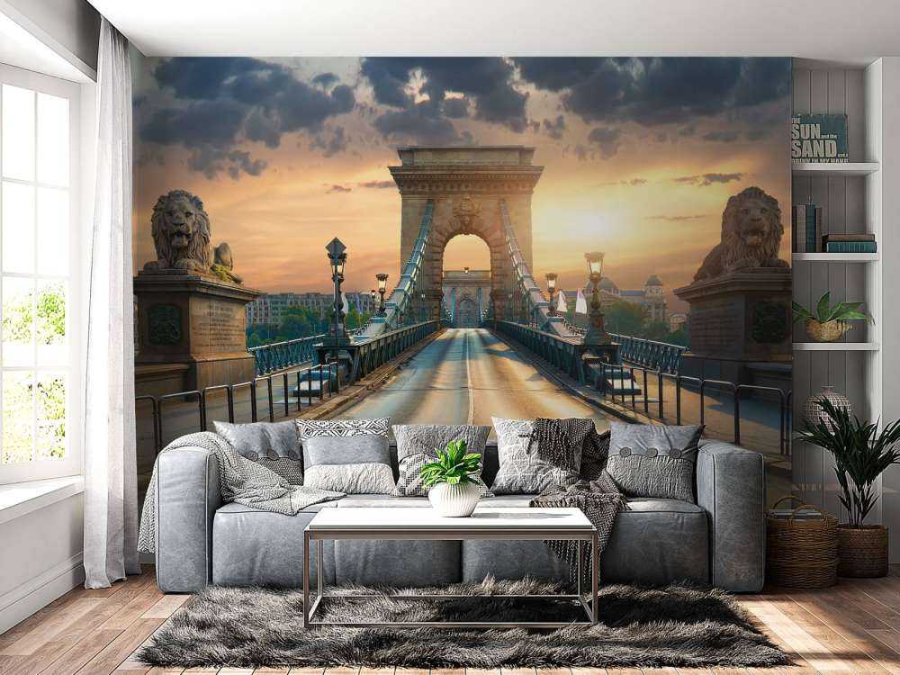 Bijzondere brug in Boedapest