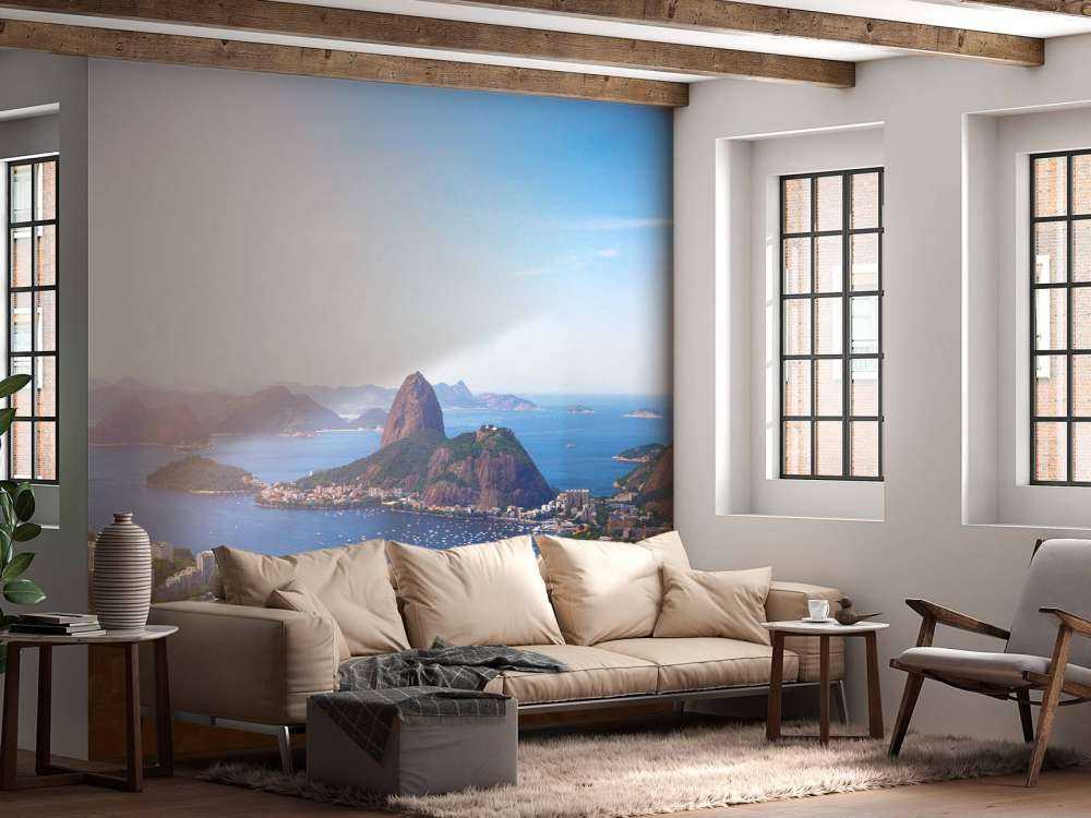 Rio de Janeiro landschap