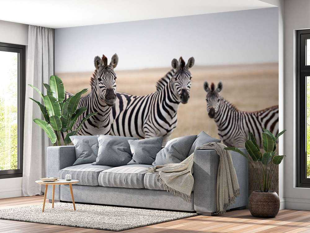 Zebra's in de natuur