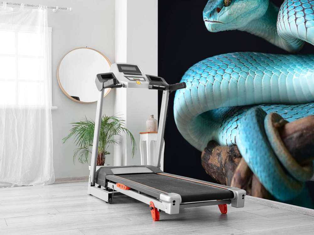 Blauwe Insularis slang