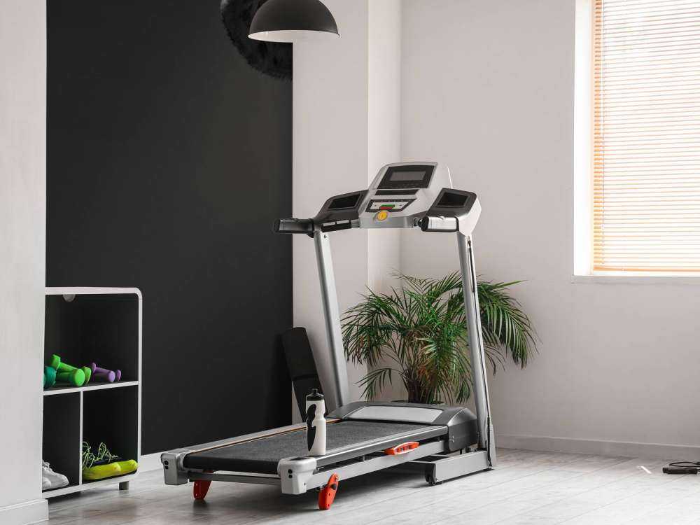 Close-up schaap zwart-wit