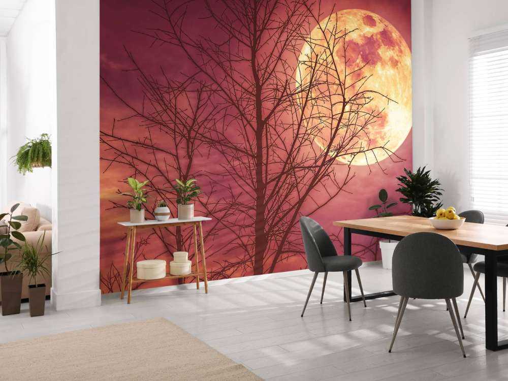 Kleurrijke maan design