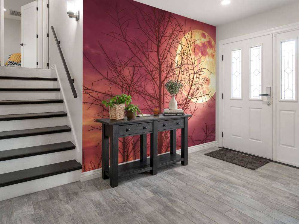 Kleurrijke maan design