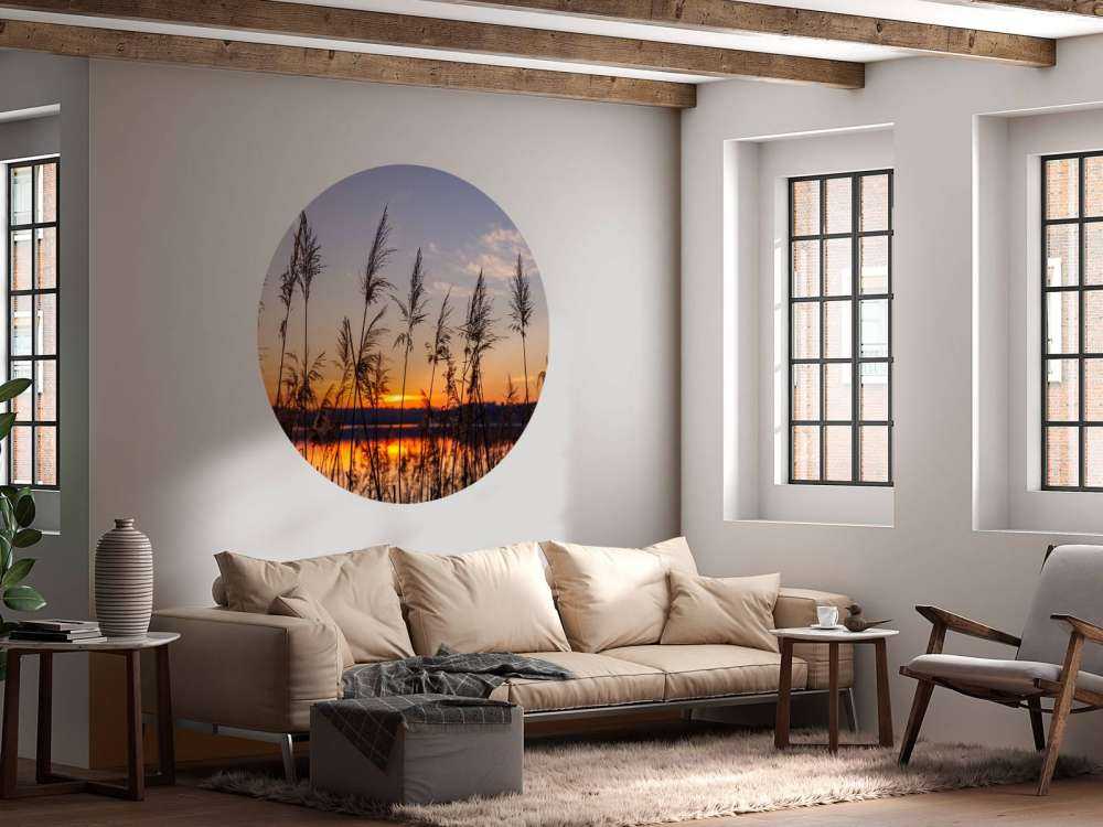 Rivier met riet bij zonsondergang