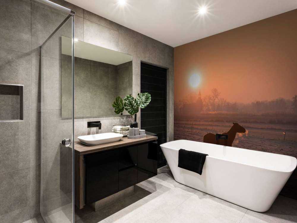 Paard in de Ochtendgloed