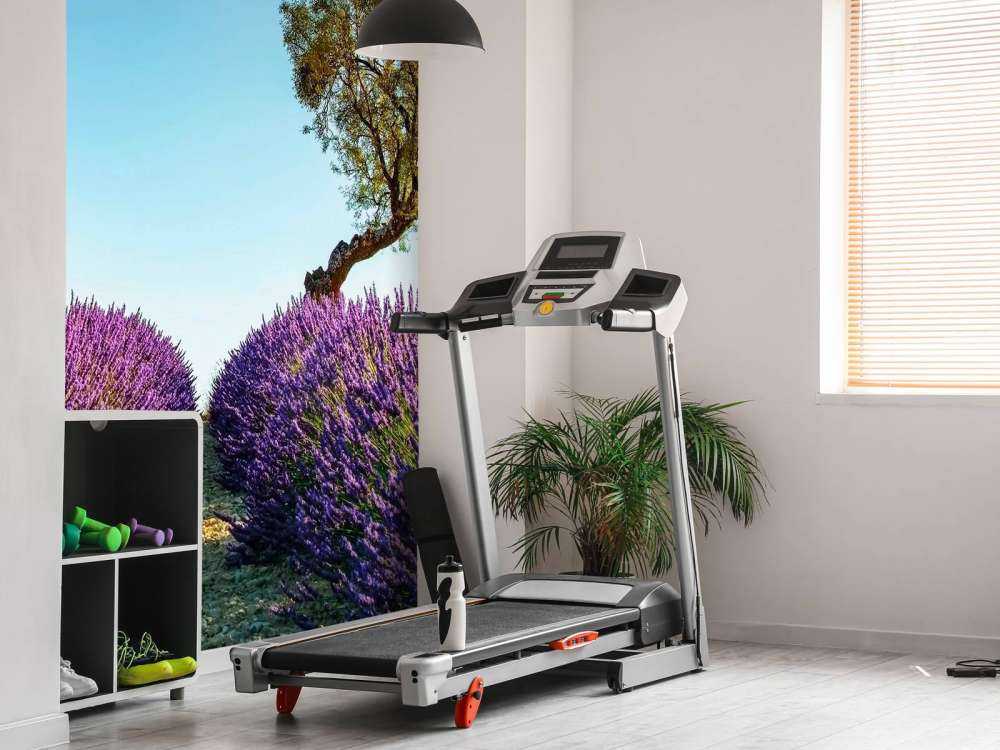 Lavendelpad onder blauwe hemel