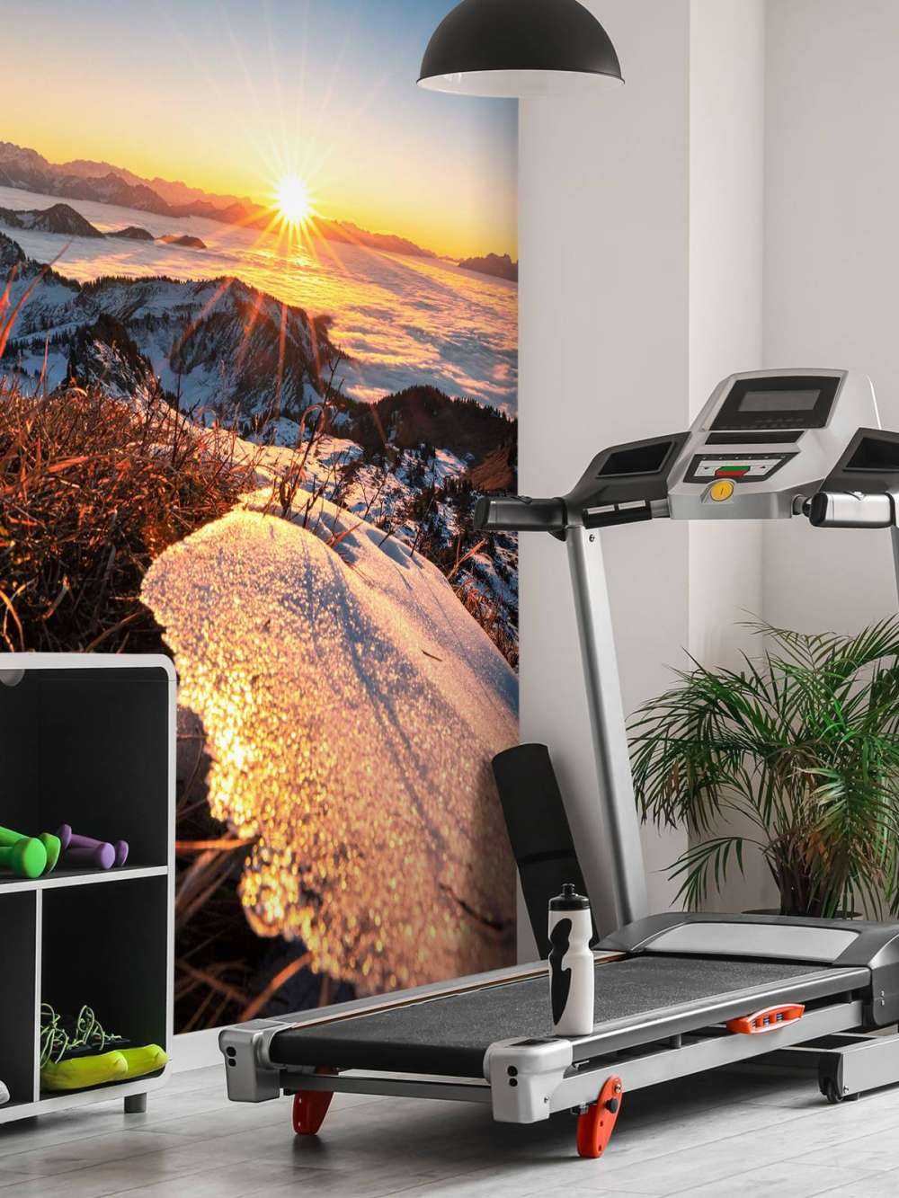 Ochtendzon op glinsterende bergweide